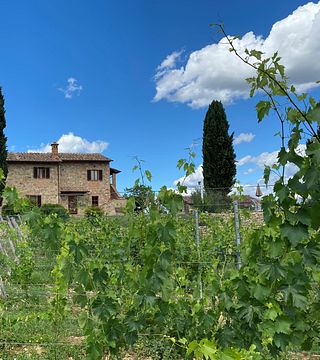 Cata de vinos en San Gimignano