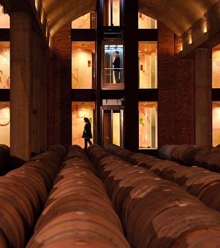 Rioja Wine & Cave Tour at Eguren Ugarte