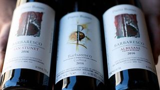 Weinprobe und Tour bei Az.Agr. Piero Busso