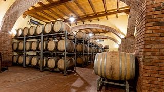 Taste Sicily’s Organic White Wine Journey