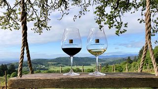 Degustazione di vini premium e tour a Youngberg Hill