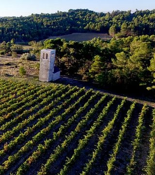 Degustação de vinhos orgânicos e visita à adega