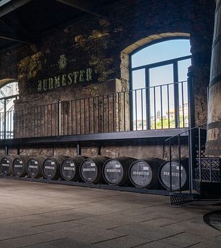 Premium Port Wine Tasting at Burmester Cellar