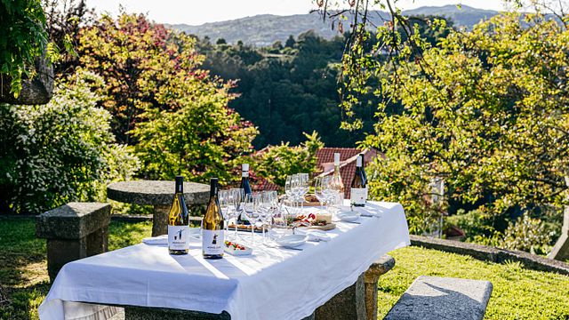 Esperienza di degustazione senza limiti