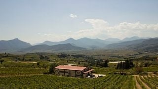 Ruta del vino: los vinos modernos de Nemea