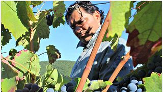 Weinprobe und Tour im Tenuta Leonardo