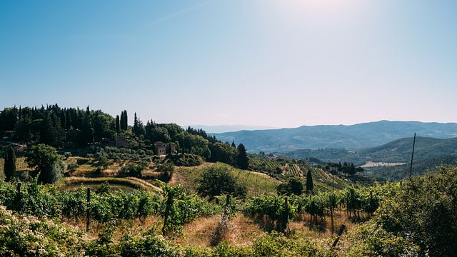 Vecchie Terre di Montefili Winery