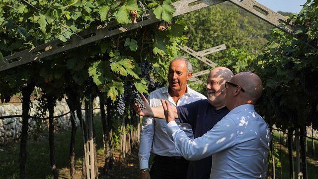 Prova det bästa | Jako vin