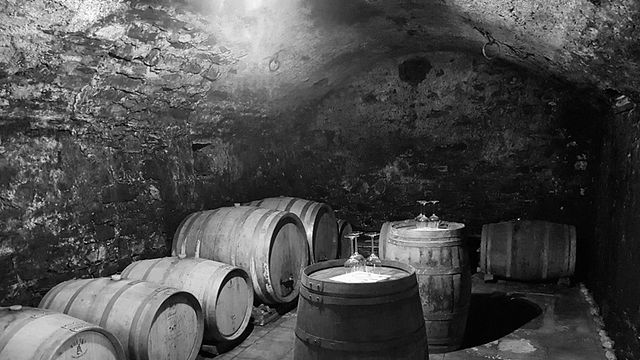 Degustação de vinhos e passeio em Vina Povh