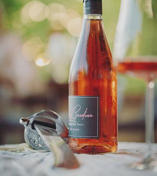 Degustação e Visita Guiada de Vinhos