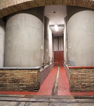 Weinprobe und Führung bei Bodegas Corellanas