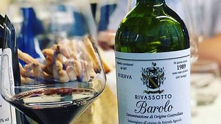 Degustação de vinhos e tour na Cascina Bruni