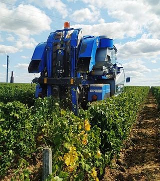 Loire Valley Wine & Cheese Tasting at Domaine Chauveau