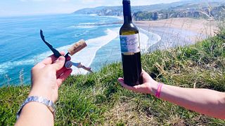 Besuch des Weinguts aus dem 16. Jahrhundert + Weinprobe | Bodegas Lecea