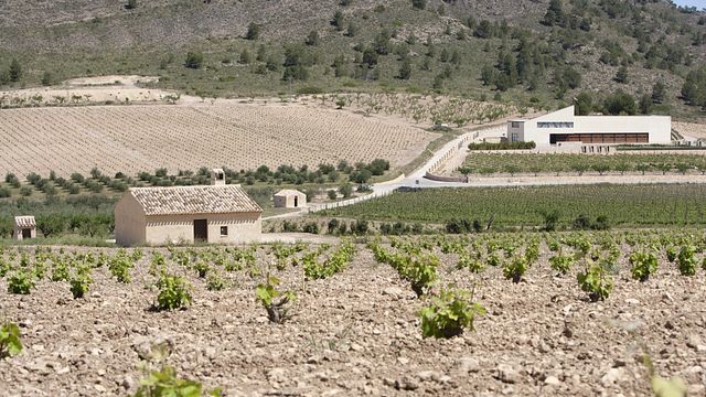 Bodegas Monovar Winery