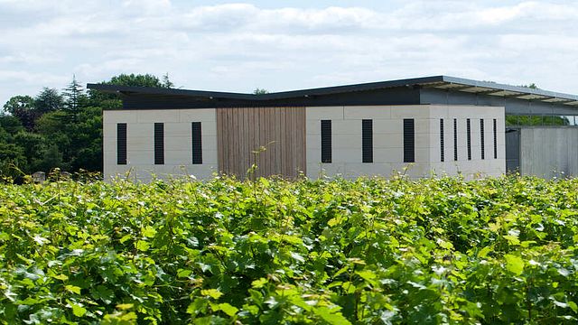 Domaine de Rocheville: Exquisite Wines in Loire Valley