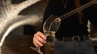 Domaine Rouge: Barrel Tasting Experience – From the Barrel to Grand Cru