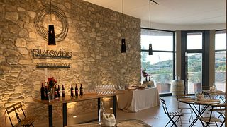 Weinbrunch in der Azienda Agricola Purovino