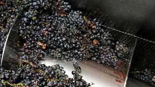 Degustação de Vinhos e Tour nas Bodegas Marqués de Reinosa