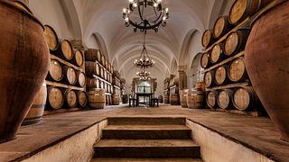 Yes, I'm a Wine Geek!