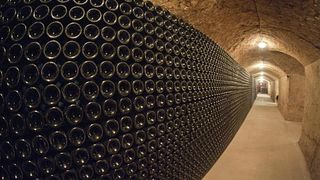 Degustazione di vini e tour allo Champagne Breton Fils