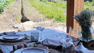 Almuerzo y visita a Quinta da Vineadouro.