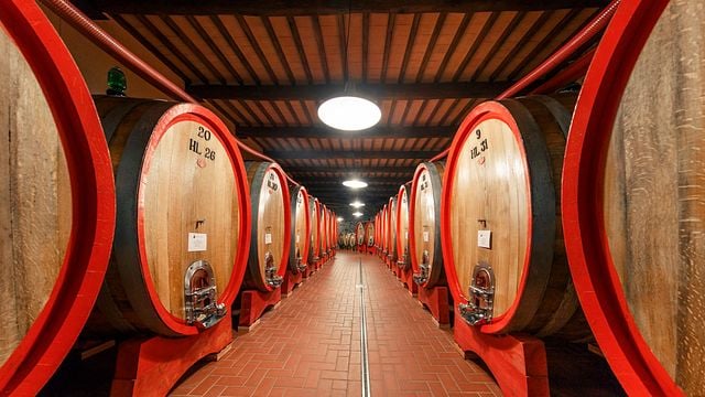 Poggio Di Sotto