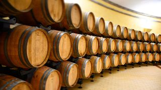 VISITE DE L'ABBAYE DE BADIA DI MORRONA, VISITE DES VINS ET DÉGUSTATION DE VINS DANS LA CAVE
