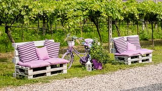 Tour zur Valpolicella-Weinverkostung