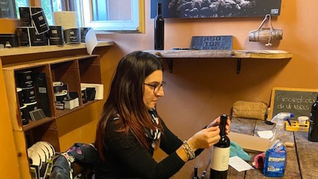 Haz tu vino 