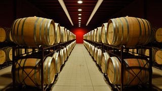 Enjoy Abruzzo Wine & Cellar Lunch at Castorani