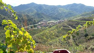 Sangenís I Vaqué Winery