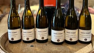 Private Tour durch die Region Beaujolais, Weinproben und lokales Restaurant