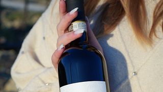 Wine Tasting in Cellar Chiacchiera