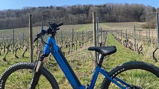 Un día en bicicleta eléctrica | Ruta de vinos y cata en Maison Lelievre