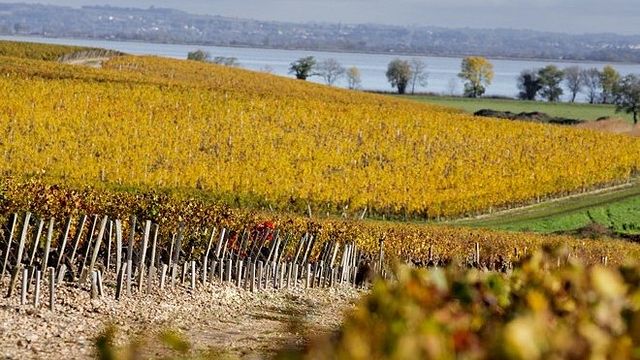 Chateau Phelan Segur
