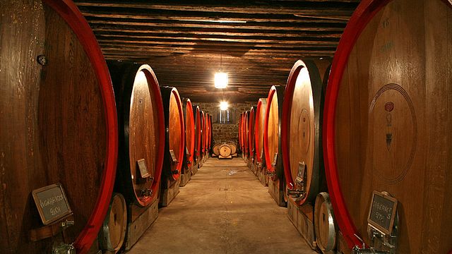 Degustação de vinhos e tour no Conte d'Attimis Maniago