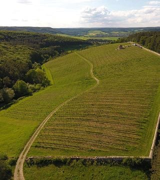 Beliebte Weinprobe im Weingut Lange - Schloss Saaleck
