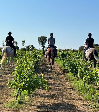Esperienza di equitazione e degustazione di vini