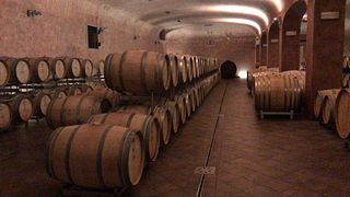 Bolgheri exclusif de Florence : le pays du Super Toscan