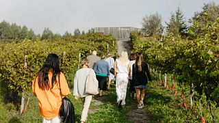 Bodega Berroja Winery