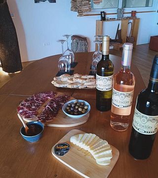 Degustazione di vini della gamma Dez Tostões