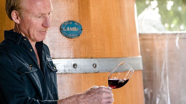 Degustação de vinhos e passeio na Fighting Gully Road