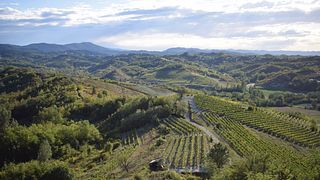 Dégustation verticale de vins à Le Marne