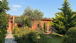 Cata de vinos auténtica en qvevri