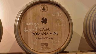 Wine Tour presso Casa Romana Vini con 3 Degustazioni di Vini e Abbinamenti Gourmet