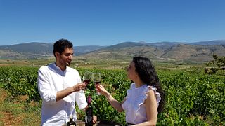 Tour de vinhos e degustação de vinhos na Eco-Bodega Cortijo El Cura