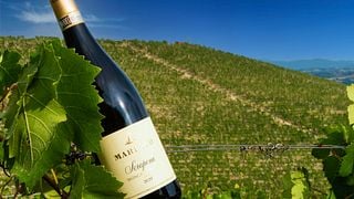 Marenco Winery