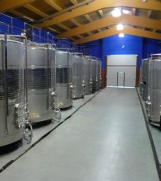 Cata y visita de vinos en Bodegas Landaluce