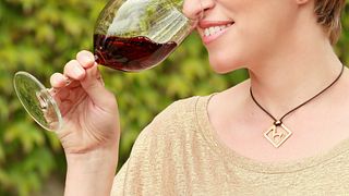 Degustazione di vini e tour al Domaine Kikones